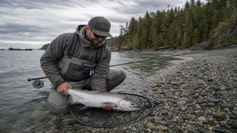 BC Salmon Fishing Season: Peak Run Timing, Coastal Ports, and Weather Planning