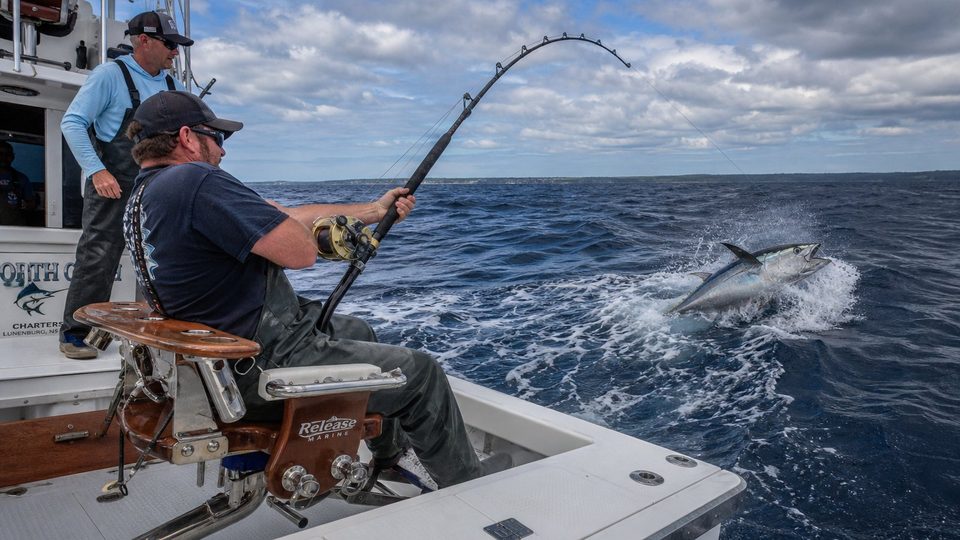 Fishing Charters Nova Scotia: Inshore Groundfish, Tuna, and Coastal Ports