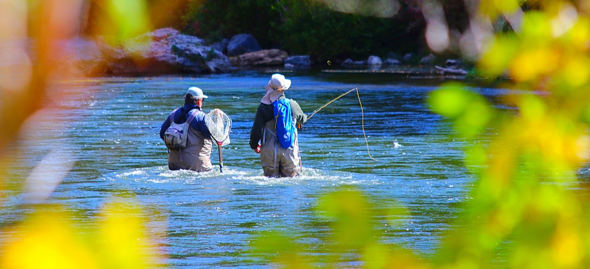 How to Read River Currents Like a Local Guide